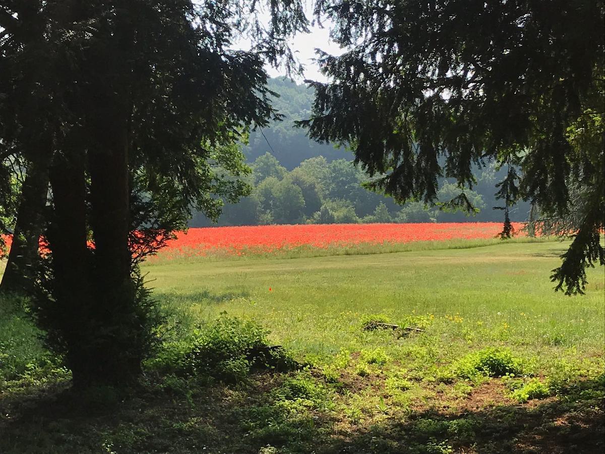 Les Mazeraies Maison D'Hotes Avec Spa Savonnières Exterior foto