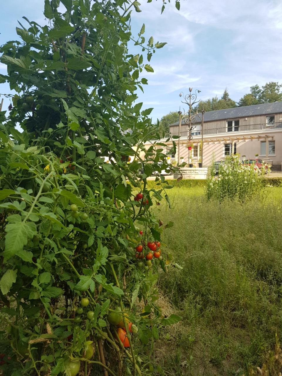 Les Mazeraies Maison D'Hotes Avec Spa Savonnières Exterior foto